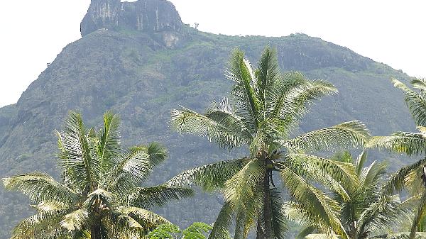 Alleppey (11)